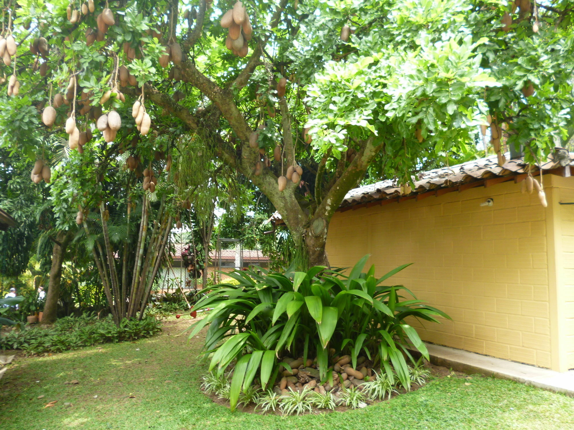 Hotel Poblado Campestre Medellin Exterior photo